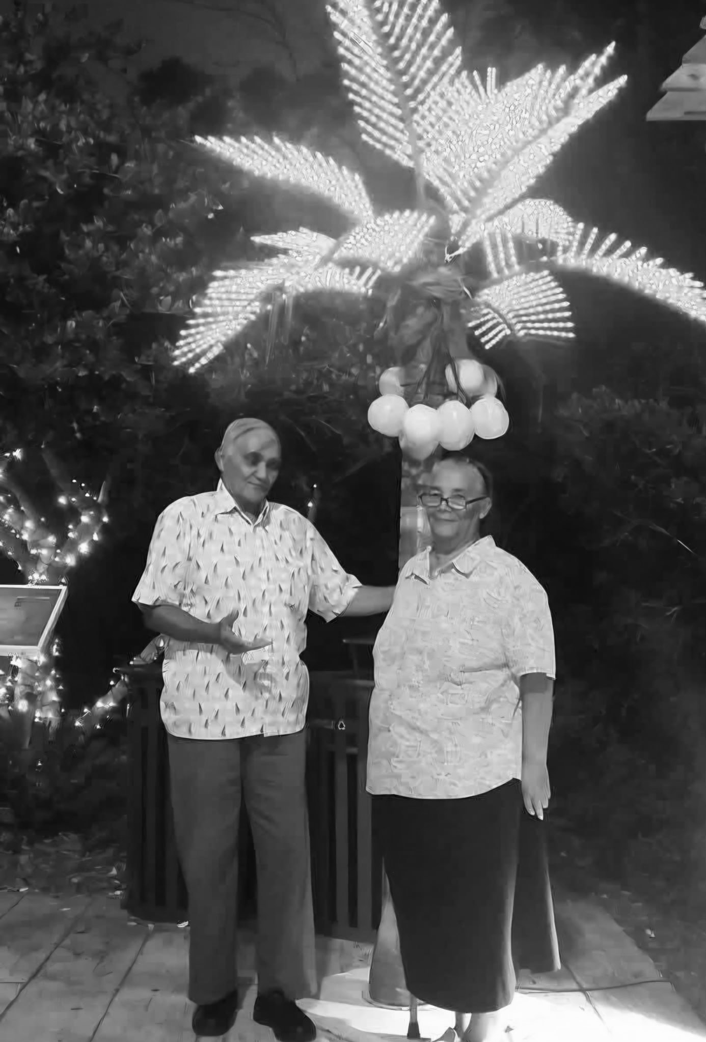 Maria and Moises standing together beneath a lit palm tree at night